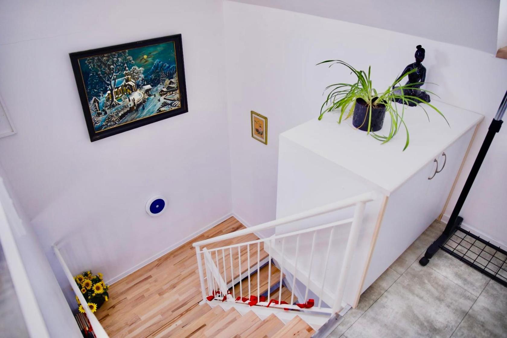فرازدينسكي توبليسي Holiday House Apartments Dajcic المظهر الخارجي الصورة