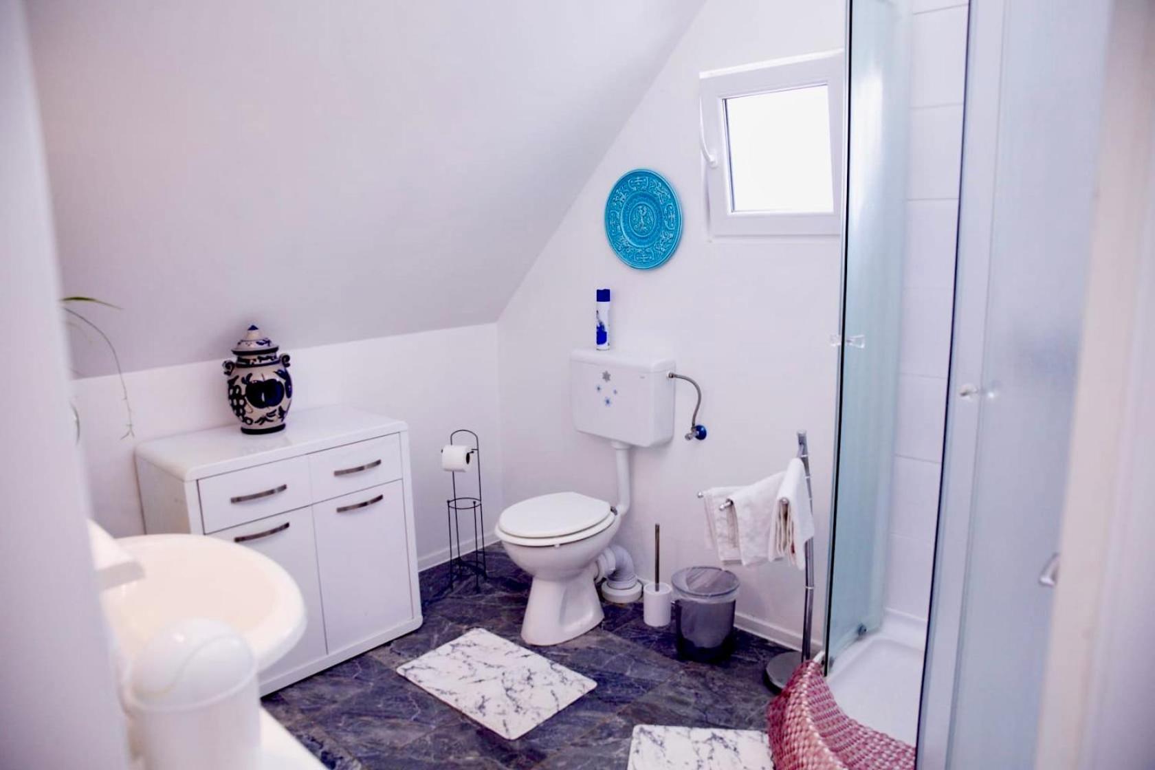فرازدينسكي توبليسي Holiday House Apartments Dajcic المظهر الخارجي الصورة
